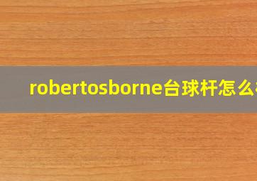 robertosborne台球杆怎么样