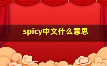 spicy中文什么意思