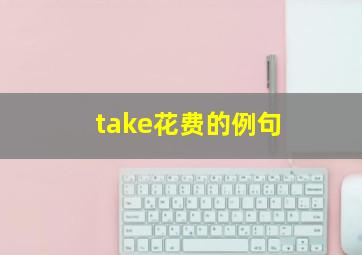 take花费的例句