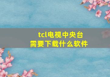 tcl电视中央台需要下载什么软件