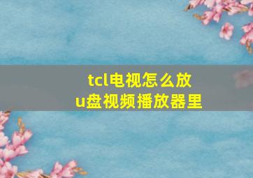 tcl电视怎么放u盘视频播放器里