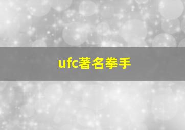 ufc著名拳手