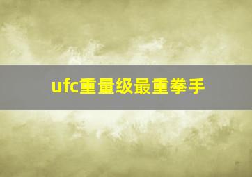 ufc重量级最重拳手