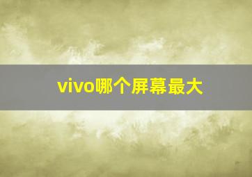 vivo哪个屏幕最大