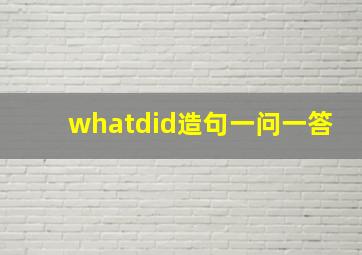 whatdid造句一问一答