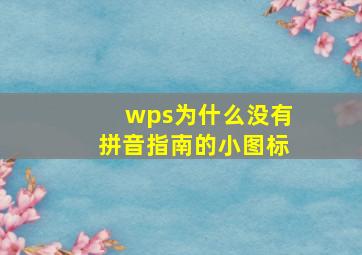 wps为什么没有拼音指南的小图标