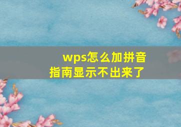 wps怎么加拼音指南显示不出来了