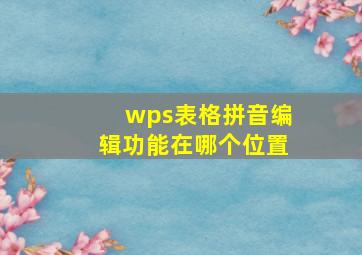 wps表格拼音编辑功能在哪个位置