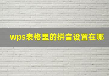 wps表格里的拼音设置在哪