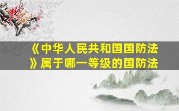 《中华人民共和国国防法》属于哪一等级的国防法