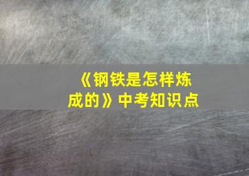 《钢铁是怎样炼成的》中考知识点