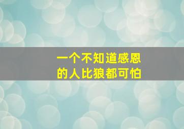 一个不知道感恩的人比狼都可怕