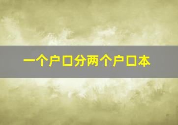 一个户口分两个户口本