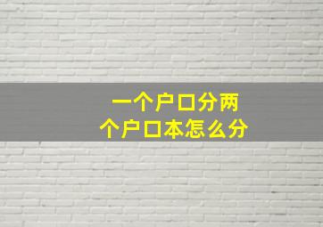 一个户口分两个户口本怎么分