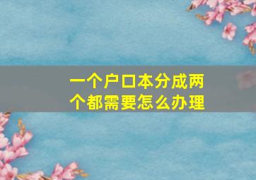 一个户口本分成两个都需要怎么办理