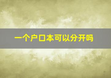 一个户口本可以分开吗