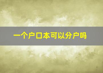 一个户口本可以分户吗