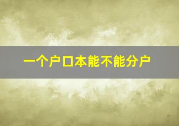 一个户口本能不能分户