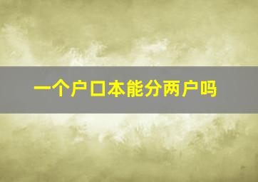 一个户口本能分两户吗