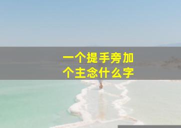 一个提手旁加个主念什么字