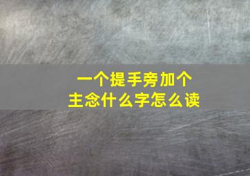 一个提手旁加个主念什么字怎么读