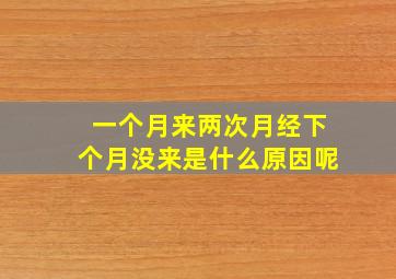 一个月来两次月经下个月没来是什么原因呢