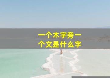 一个木字旁一个文是什么字