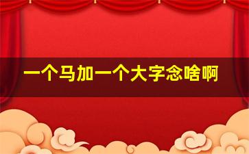 一个马加一个大字念啥啊