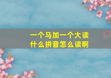 一个马加一个大读什么拼音怎么读啊