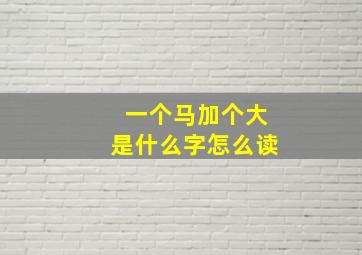 一个马加个大是什么字怎么读