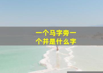 一个马字旁一个并是什么字