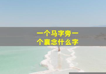 一个马字旁一个襄念什么字