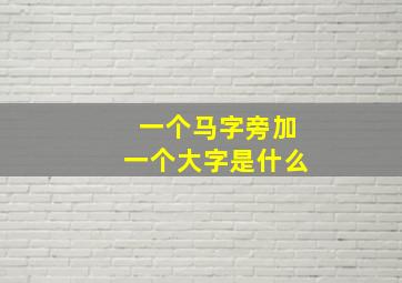 一个马字旁加一个大字是什么