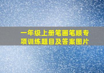 一年级上册笔画笔顺专项训练题目及答案图片