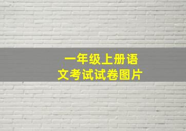 一年级上册语文考试试卷图片