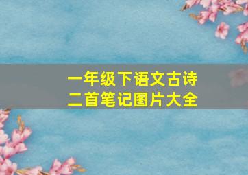 一年级下语文古诗二首笔记图片大全