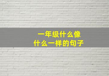 一年级什么像什么一样的句子