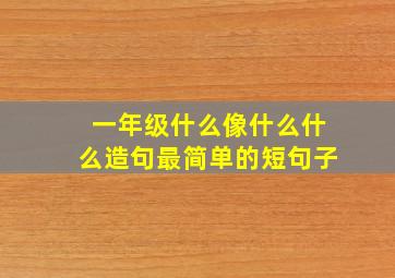 一年级什么像什么什么造句最简单的短句子