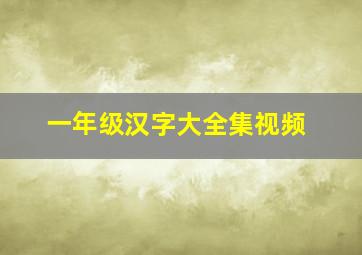 一年级汉字大全集视频