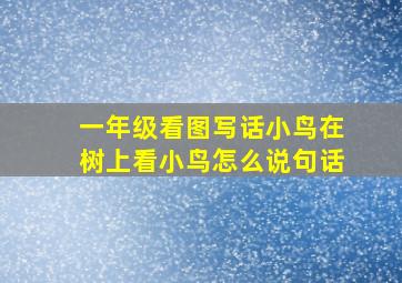 一年级看图写话小鸟在树上看小鸟怎么说句话