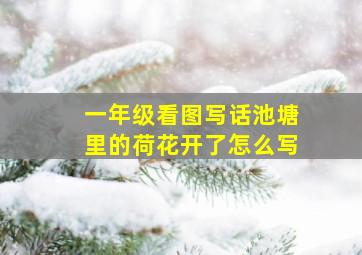 一年级看图写话池塘里的荷花开了怎么写