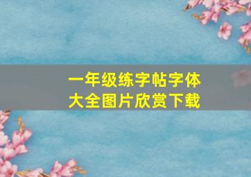 一年级练字帖字体大全图片欣赏下载