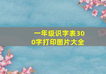 一年级识字表300字打印图片大全