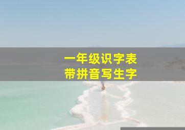 一年级识字表带拼音写生字