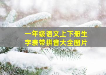 一年级语文上下册生字表带拼音大全图片