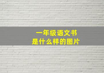 一年级语文书是什么样的图片