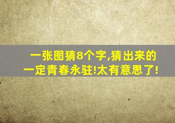 一张图猜8个字,猜出来的一定青春永驻!太有意思了!