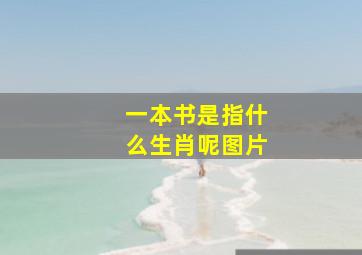 一本书是指什么生肖呢图片