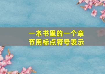 一本书里的一个章节用标点符号表示