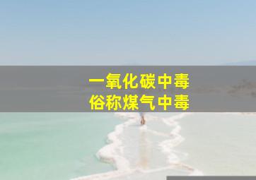 一氧化碳中毒俗称煤气中毒